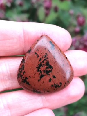 oznorMB Obsidienne Acajou