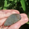 IMG_20240611_163225 Labradorite avec gravure
