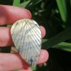 IMG_20240611_163236 Labradorite avec gravure