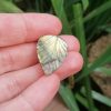 IMG_20240611_163353 pierre labradorite
