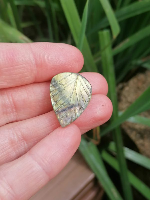 IMG_20240611_163353 pierre labradorite
