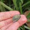 IMG_20240611_163356 Labradorite avec gravure