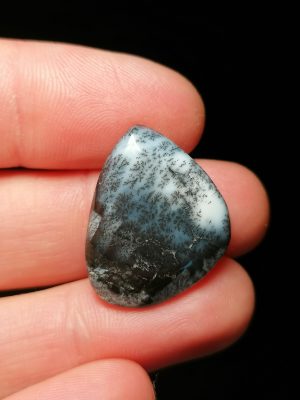 Agate Dentritique