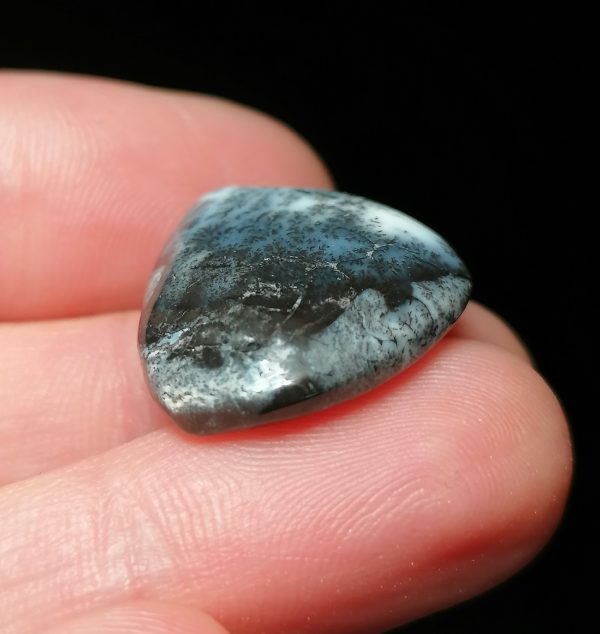 Agate Dentritique