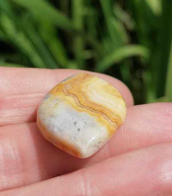 oznorMB Agate Jaune