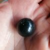 Collier Perle Noire de la Corrèze - France