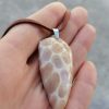 Screenshot_20260919_162247_com.android.gallery3d_edit_17930943798826 Collier Corail fossilisé - Alpes Suisse