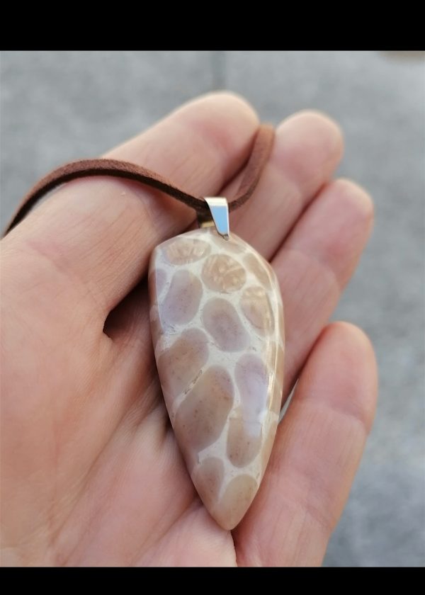 Screenshot_20260919_162247_com.android.gallery3d_edit_17930943798826 Collier Corail fossilisé - Alpes Suisse