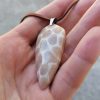 Screenshot_20260919_162251_com.android.gallery3d_edit_17923038083202 Collier Corail fossilisé - Alpes Suisse