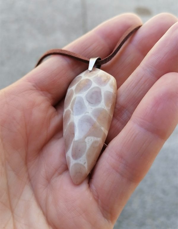 Screenshot_20260919_162251_com.android.gallery3d_edit_17923038083202 Collier Corail fossilisé - Alpes Suisse
