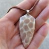 Screenshot_20260919_162258_com.android.gallery3d_edit_17917001742578 Collier Corail fossilisé - Alpes Suisse