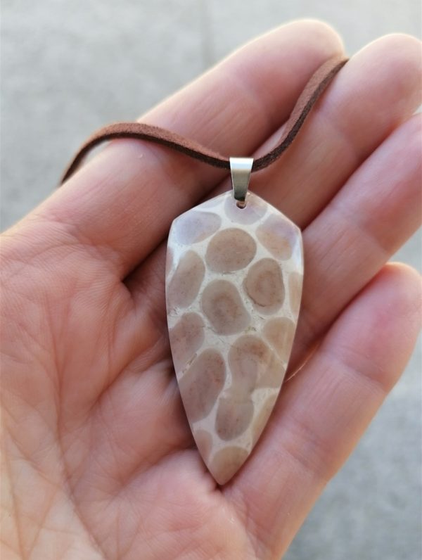 Screenshot_20260919_162258_com.android.gallery3d_edit_17917001742578 Collier Corail fossilisé - Alpes Suisse