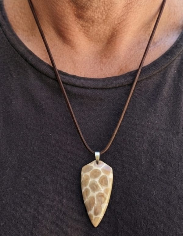 Screenshot_20260919_162625_com.google.android.googlequicksearchbox_edit_18137210731086 Collier Corail fossilisé - Alpes Suisse